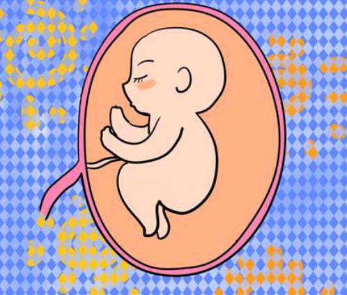 江西代孕公司哪家比|江西供卵三代试管婴儿第三方助孕生子医院排名前附试管